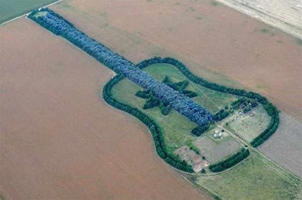 giant guitar made from trees