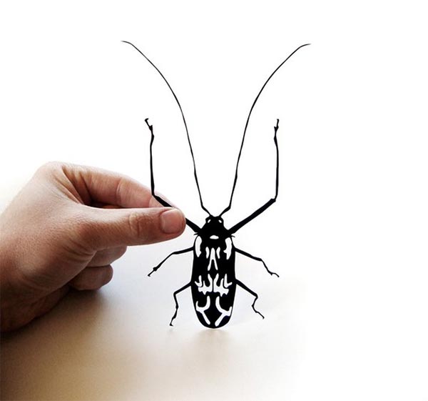 Paper-cut Giant Harlequin Beetle