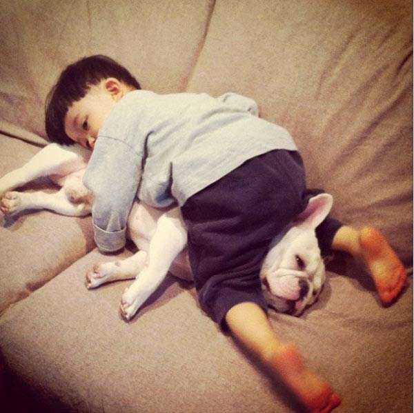 Cute Friendship Between a Boy and His French Bulldog 