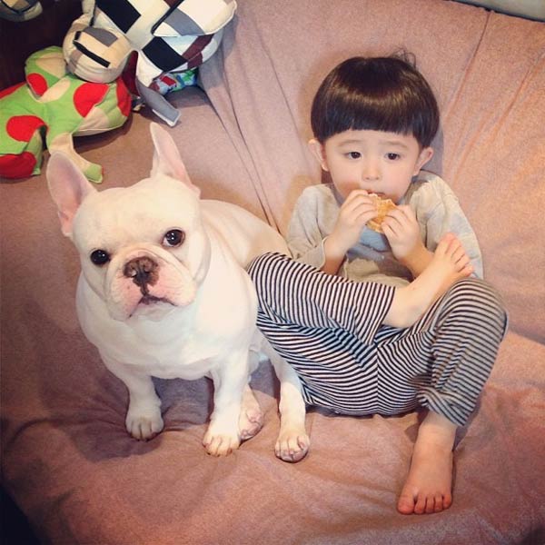 Japanese Boy and His Bulldog Friend