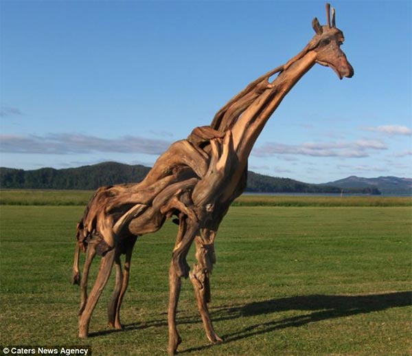 Giant Giraffe Made Out of Driftwood