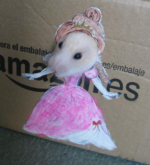 Adorable Hamster Dresses Up in Cardboard Cutouts