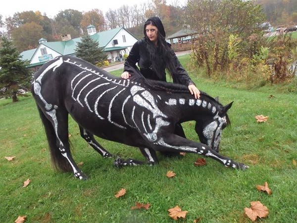 Painted Skeleton Horse