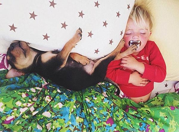 Toddler Napping with His Puppy