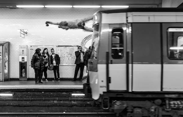 Amusing Photos Show What It Would Be Like If Animals Took The Paris Metro