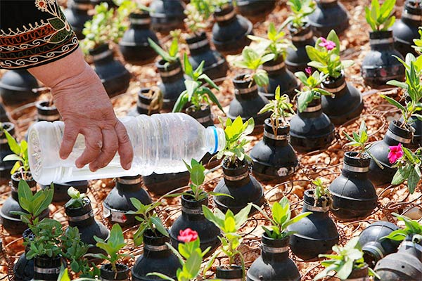 Palestinian gardener uses hundreds of spent tear gas canisters as plant pots