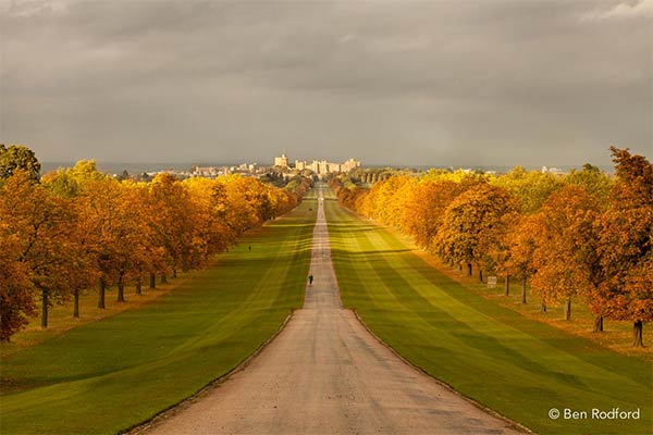 The Long Walk:  Road to Windsor Castle