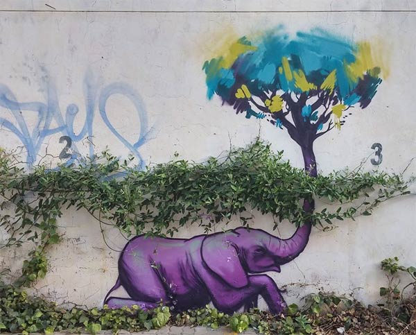 Elephant Graffiti Art title=