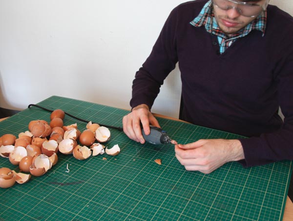 Chicken Made From Eggshells