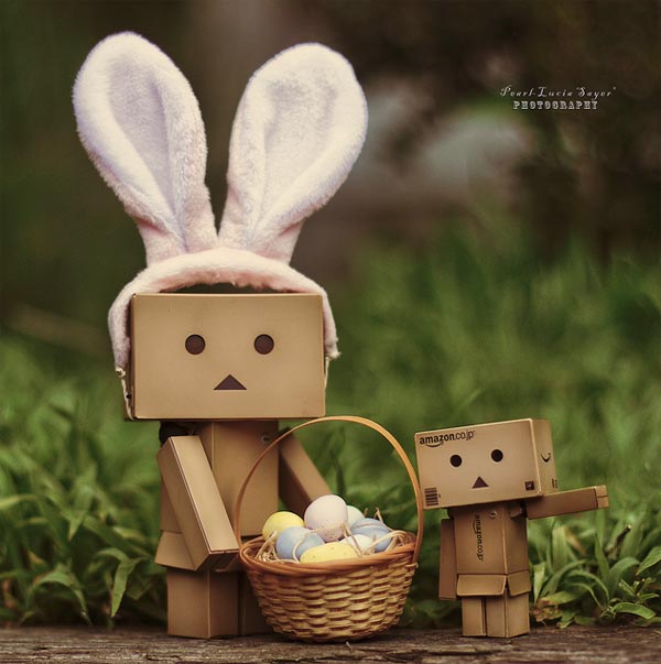 Danbo