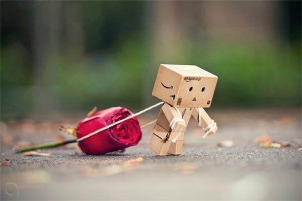 Danbo