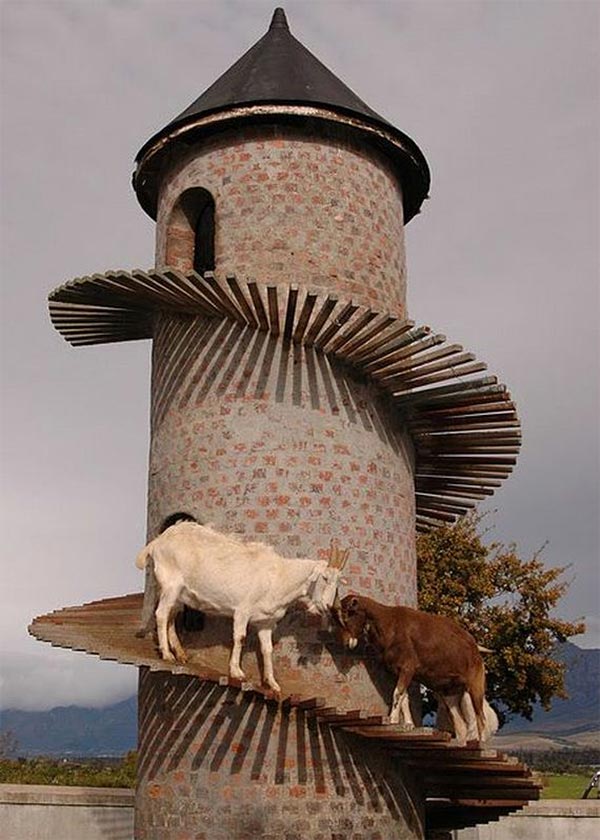 The Goat Tower