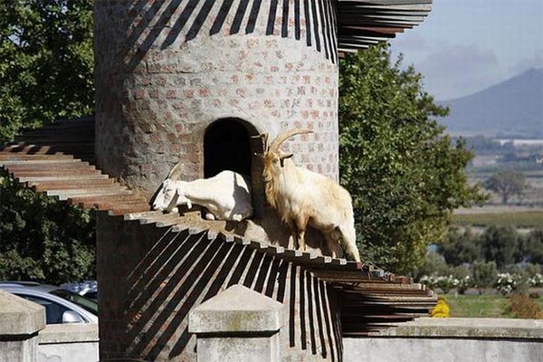 The Goat Tower