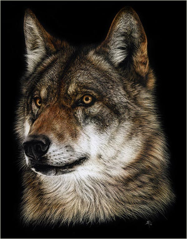 Realistic Wildlife Paintings