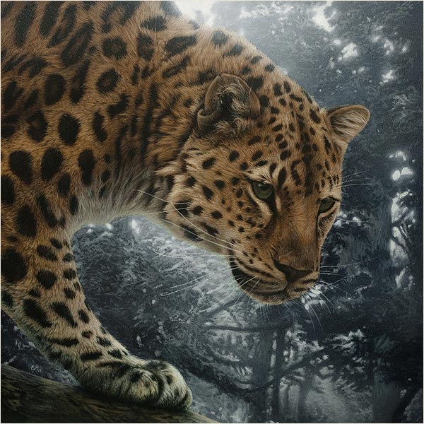 Realistic Wildlife Painting