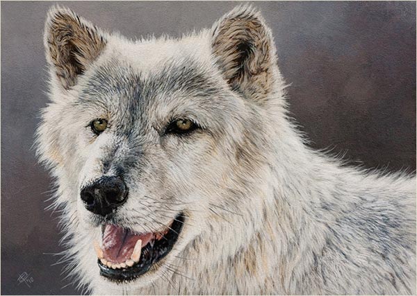 Realistic Wildlife Painting