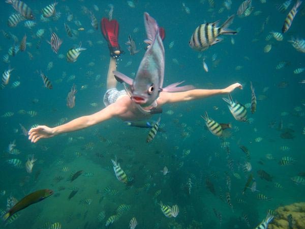 Snorkeler Photobomb