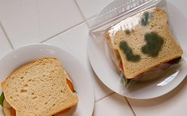 Anti-Theft Lunch Bag