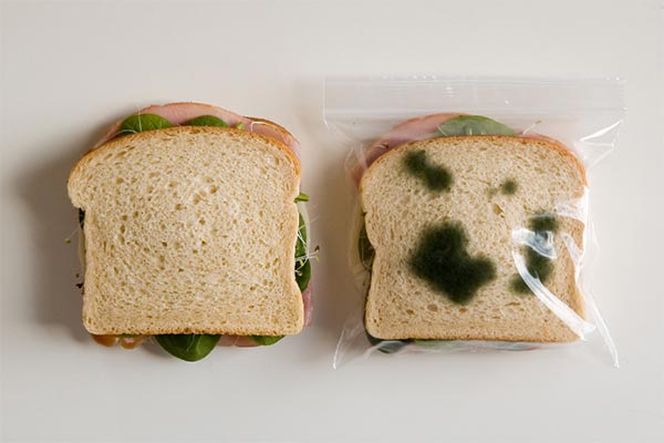 Anti-Theft Lunch Bag