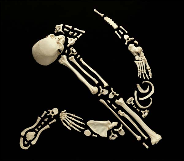 Art made with human bones