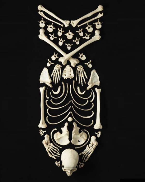 Art made with human bones