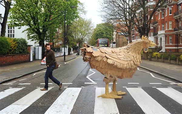 Cardboard Chicken