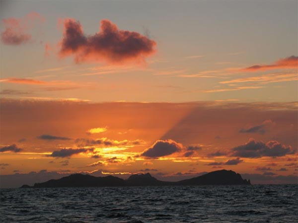 Giant Fish Cloud Formation