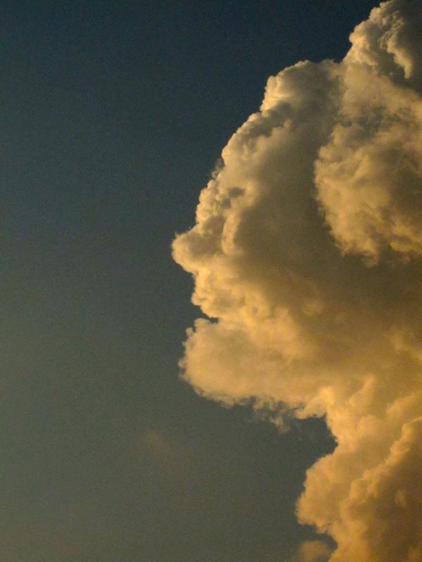 Giant Fish Cloud Formation