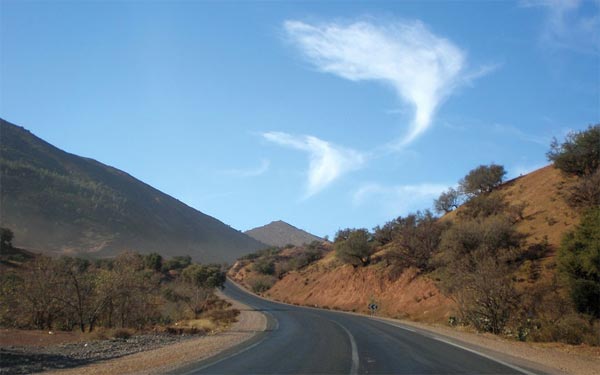 Giant Fish Cloud Formation