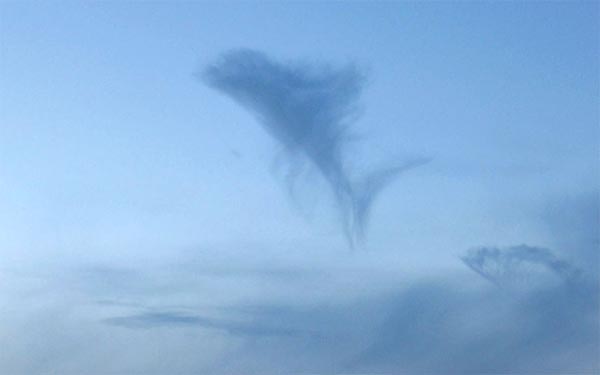 Giant Fish Cloud Formation
