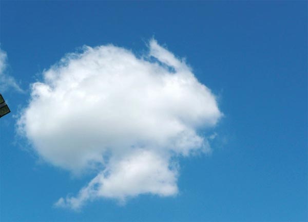 Giant Fish Cloud Formation