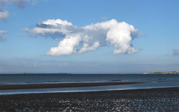 Giant Fish Cloud Formation