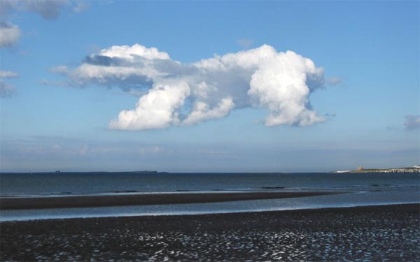 Giant Fish Cloud Formation