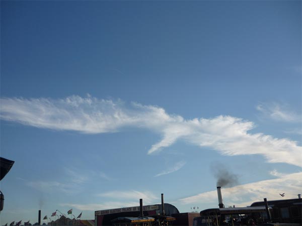 Giant Fish Cloud Formation