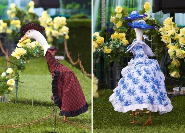 Pied Piper Duck Fashion Show in Australia