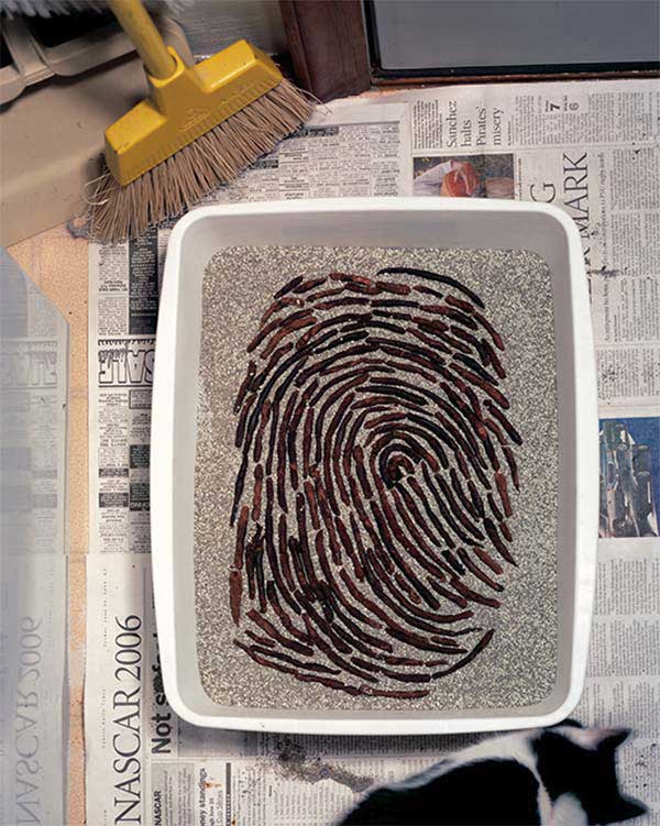 Fingerprints Recreated Using Different Objects