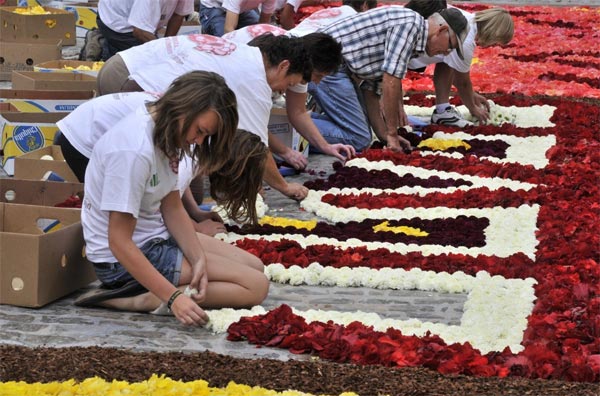 Flowers Carpet