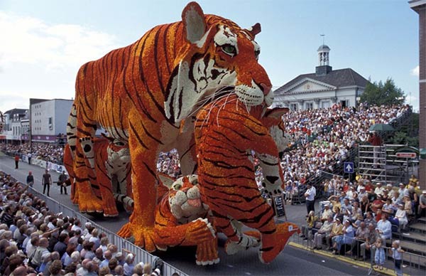 Flowers Parade in Belgium