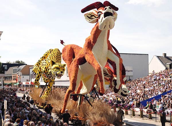 Flowers Parade in Belgium