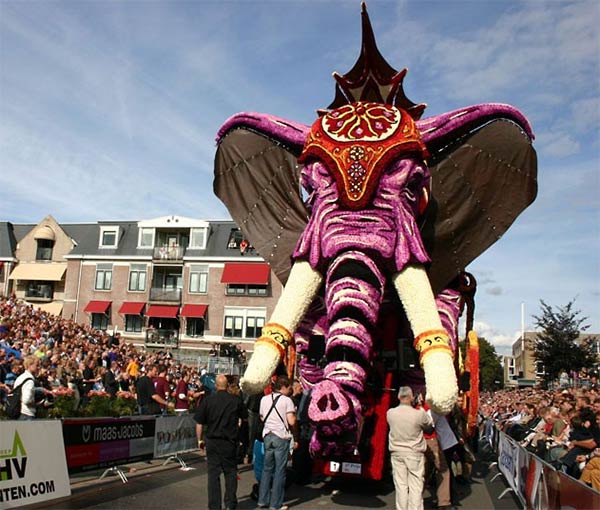 Flowers Parade in Belgium