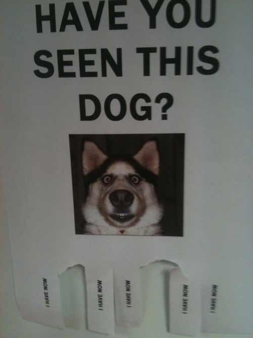 Funny Fliers