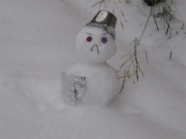 Funny Snowman