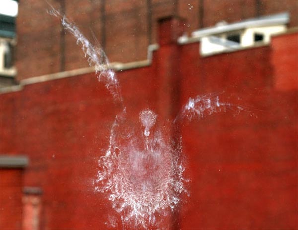 Ghostly Bird Impressions on Glass