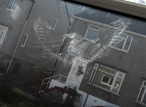 Ghostly Bird Impressions on Glass