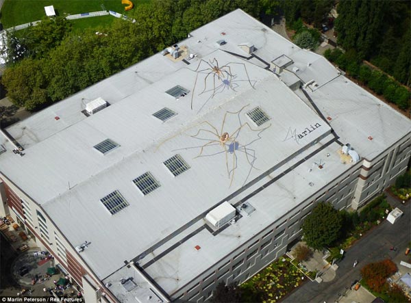 Spiders Painting on Buildings