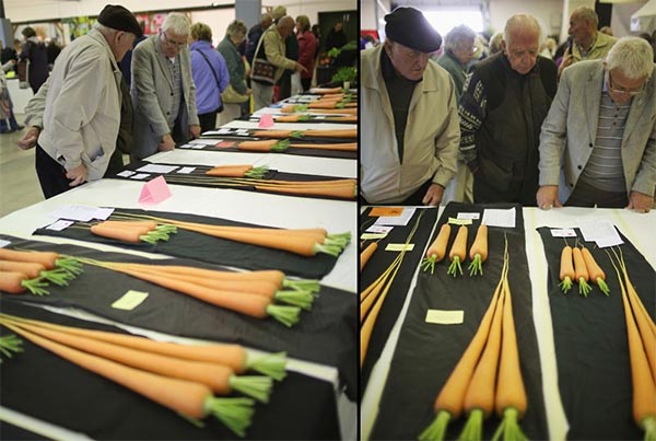 Giant Vegetables