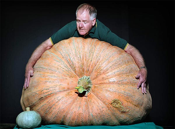 Giant Vegetables