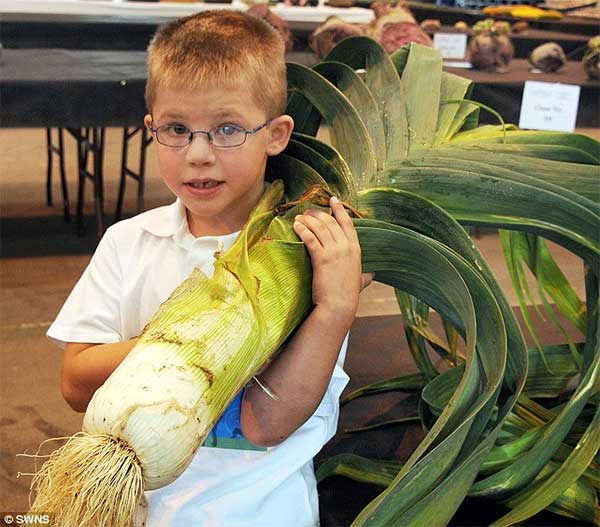 Giant Vegetables