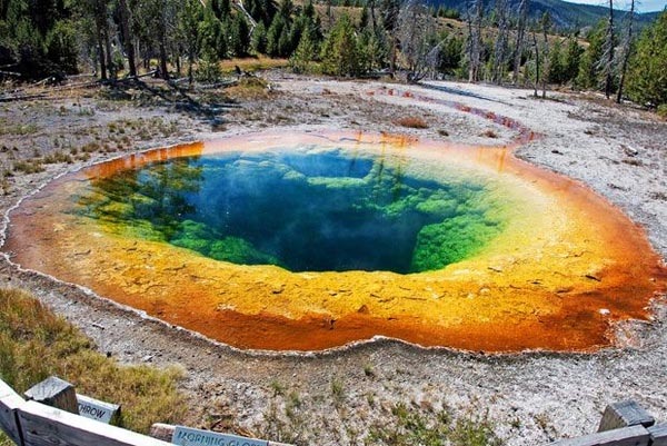 Morning Glory Pool in Yellowstone National Park