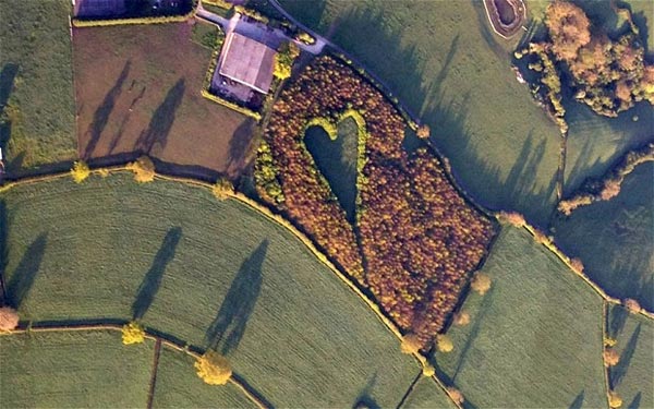 Farmer creates heart-shaped meadow in memory of wife